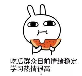 娱乐圈吃瓜二人是谁啊,揭秘娱乐圈神秘“瓜农”背后的故事