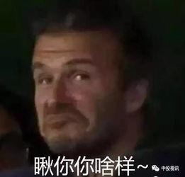 娱乐圈吃瓜是真是假