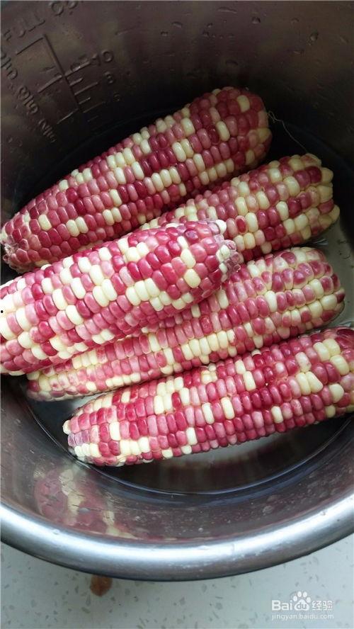 娱乐吃瓜酱玉米视频,娱乐吃瓜酱带你领略趣味横生的娱乐世界