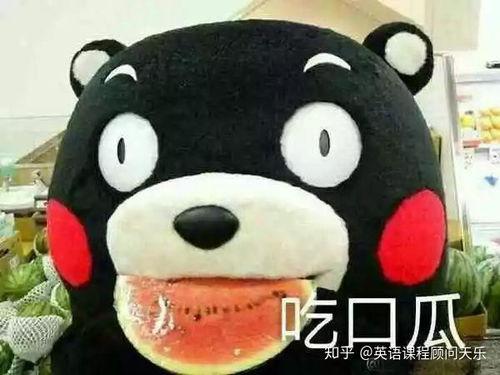 吃瓜群众的解释,网络时代的围观力量