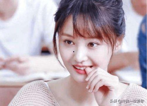 娱乐圈爽文吃瓜完结,吃瓜群众逆袭成顶流