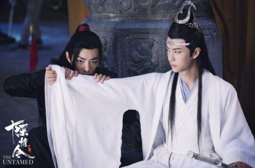 娱乐吃瓜酱陈情令