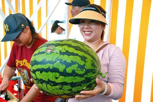 吃瓜娱乐公司,揭秘娱乐圈幕后那些事儿